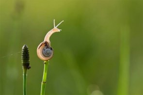 Esplorazione d'altura