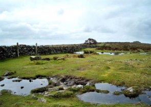 Nella quiete di Dartmoor